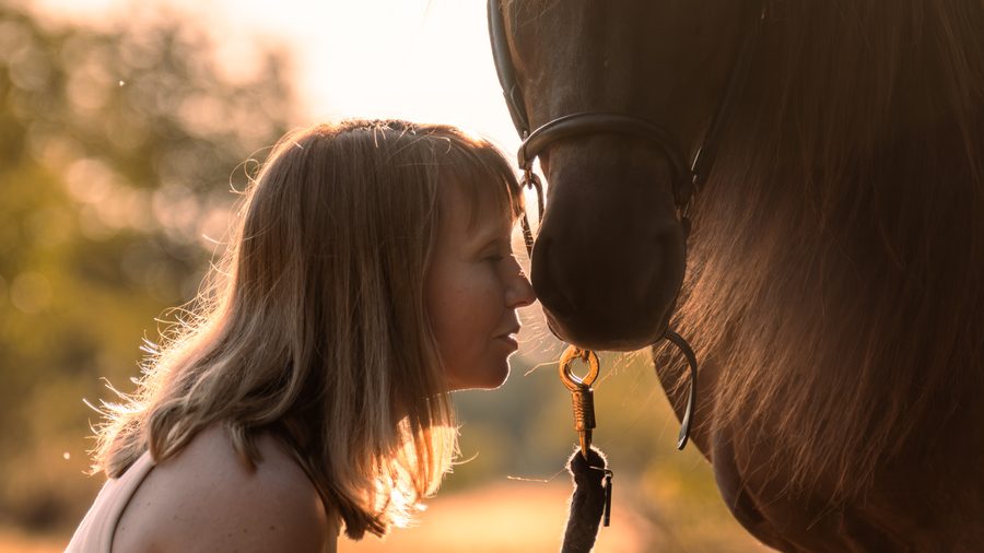 Portrait-Shooting mit Pferd – Bild 5